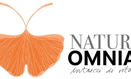 De-sidera. Una serie di incontri alla ricerca della natura del desiderio. Si inizia con Faggin