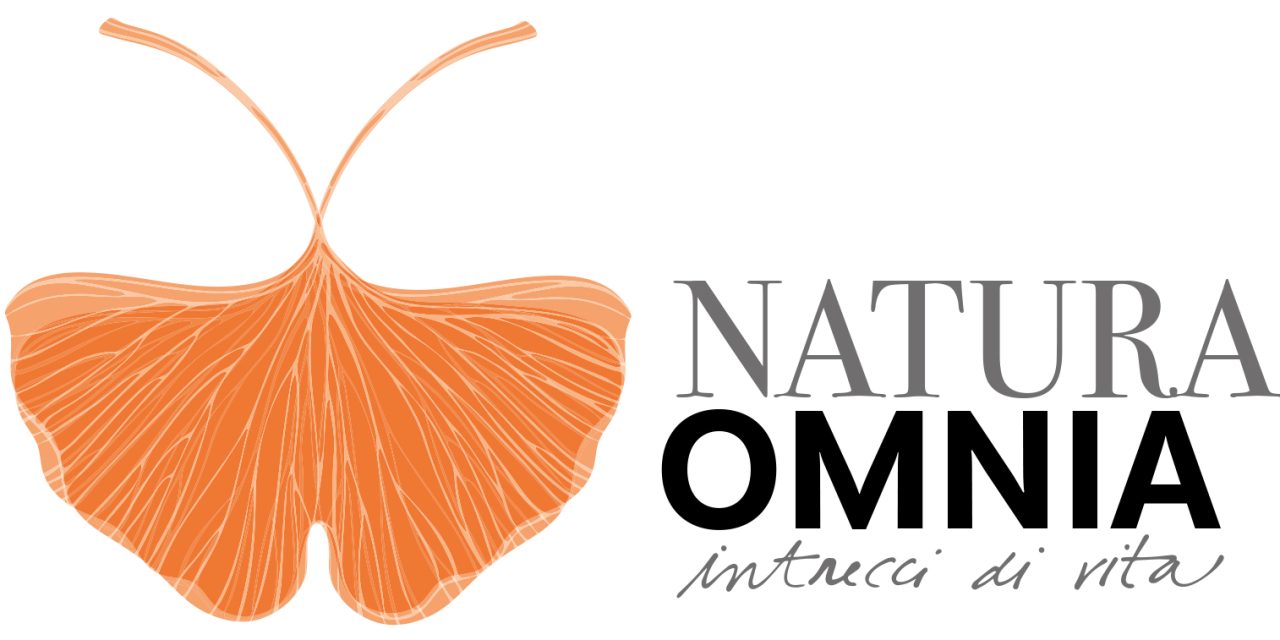 Federico Faggin apre la rassegna “De-sidera”