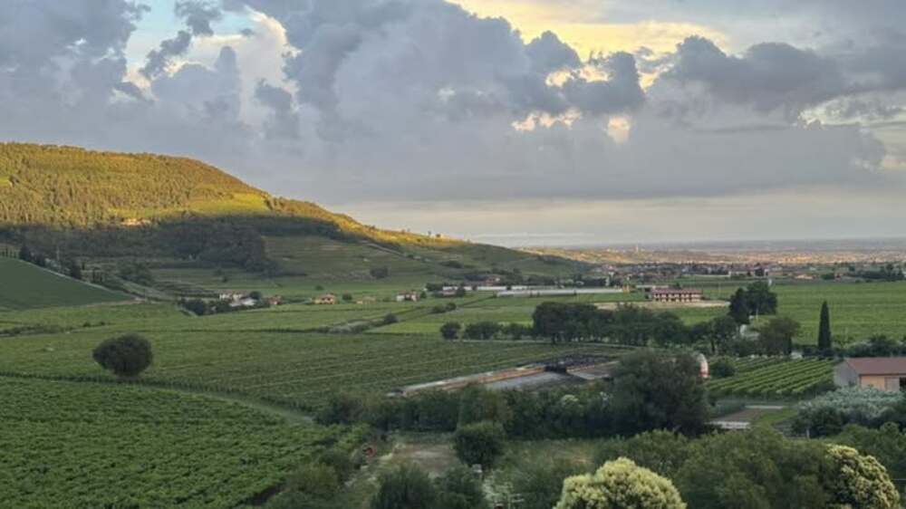 449728876 10233201522810920 6082