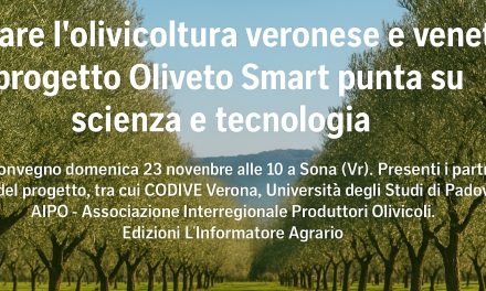 Oliveto Smart: scienza e tecnologia per il futuro dell’olivicoltura veneta