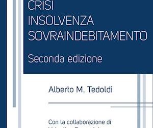 Sovraindebitamento. Crisi insolvenza