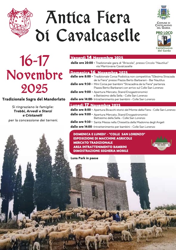 Antica Fiera di Cavalcaselle: tre giorni di tradizione, sapori e comunità sul colle San Lorenzo 2 ANTICA FIERA 2025