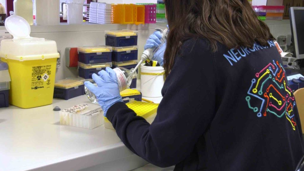 Borgo roma neurologia B 2