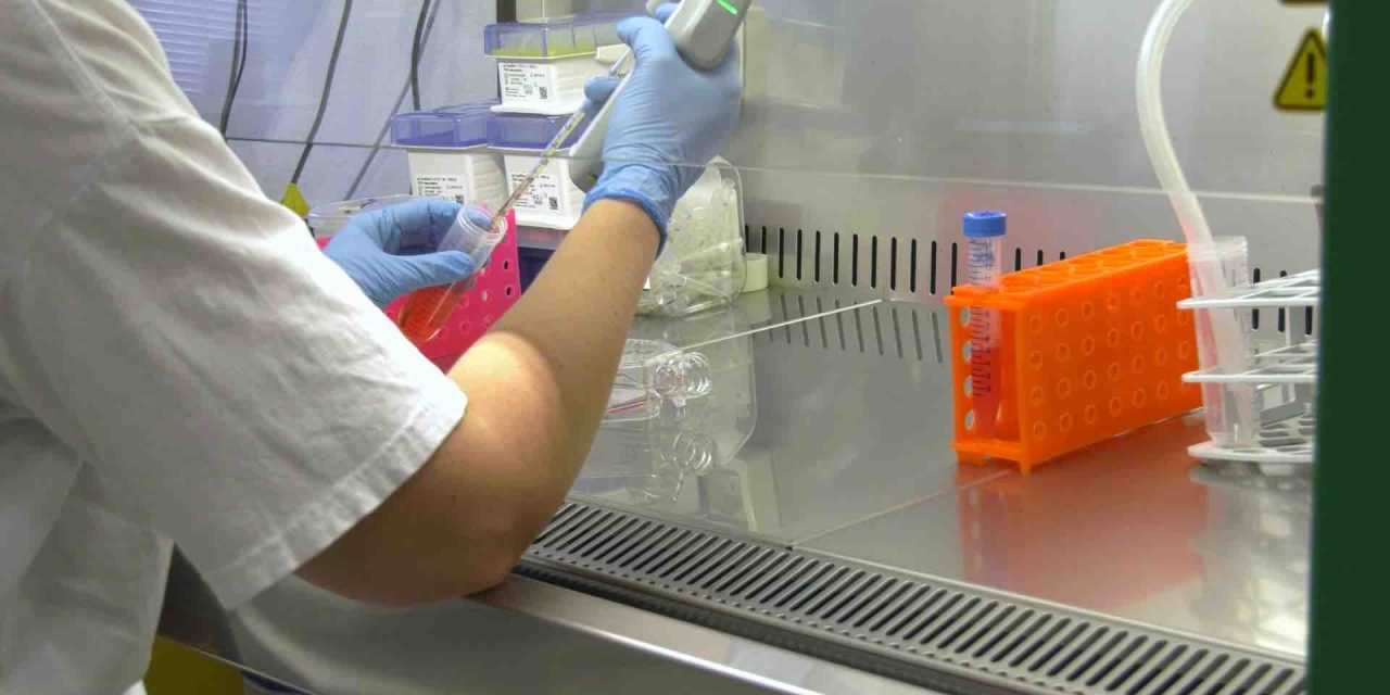 Neurologia e malattie autoimmuni: a Borgo Roma un laboratorio d’eccellenza per la diagnosi avanzata