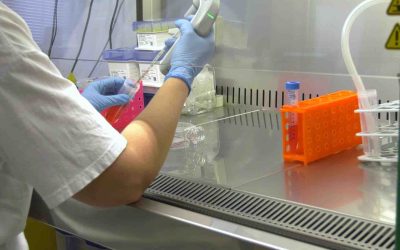 Neurologia e malattie autoimmuni: a Borgo Roma un laboratorio d’eccellenza per la diagnosi avanzata