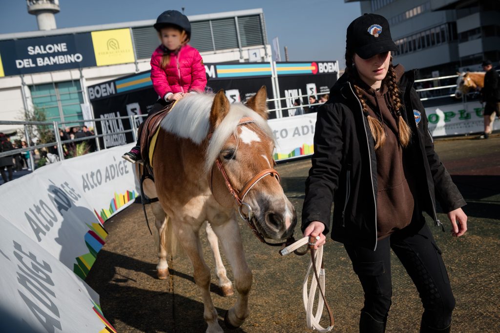 Fieracavalli 2025, Verona torna capitale mondiale del cavallo 1 Fieracavalli2024 Veronafiere EnneviFoto 1981