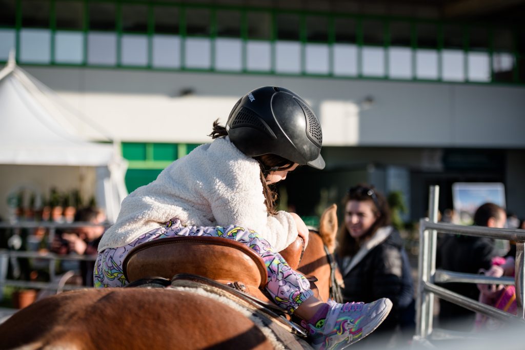 Fieracavalli 2025, Verona torna capitale mondiale del cavallo 3 Fieracavalli2024 Veronafiere EnneviFoto 2429