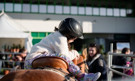 Fieracavalli 2025, tra gioco e inclusione: al Padiglione 1 nasce il mondo dei Future Riders