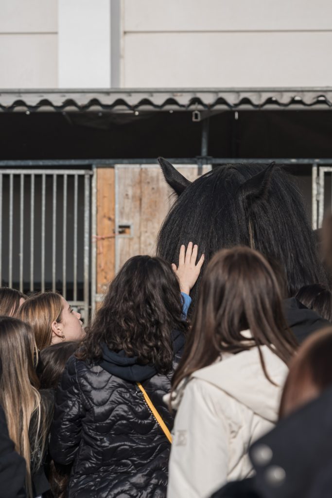 Fieracavalli 2025, Verona torna capitale mondiale del cavallo 2 Fieracavalli2024 Veronafiere Ennevifoto 1MM0622