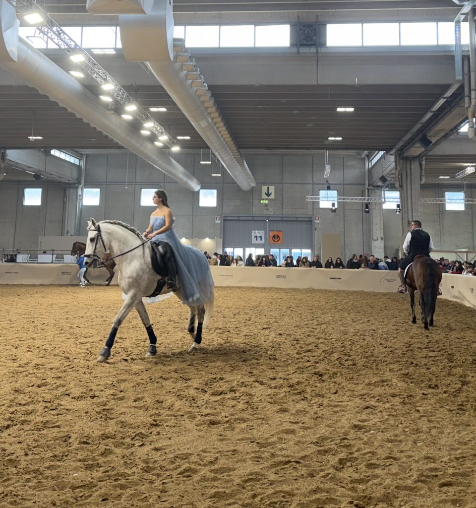 Fieracavalli chiude con oltre 140mila visitatori 2 IMG 0088 1