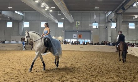 Fieracavalli chiude con oltre 140mila visitatori