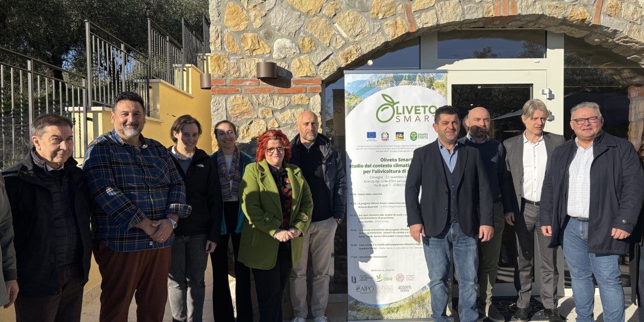 Olivicoltura di precisione: con “Oliveto Smart” il Veneto investe su ricerca e tecnologia per il futuro del settore