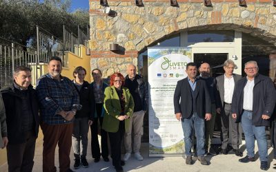 Olivicoltura di precisione: con “Oliveto Smart” il Veneto investe su ricerca e tecnologia per il futuro del settore
