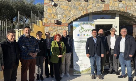 Olivicoltura di precisione: con “Oliveto Smart” il Veneto investe su ricerca e tecnologia per il futuro del settore