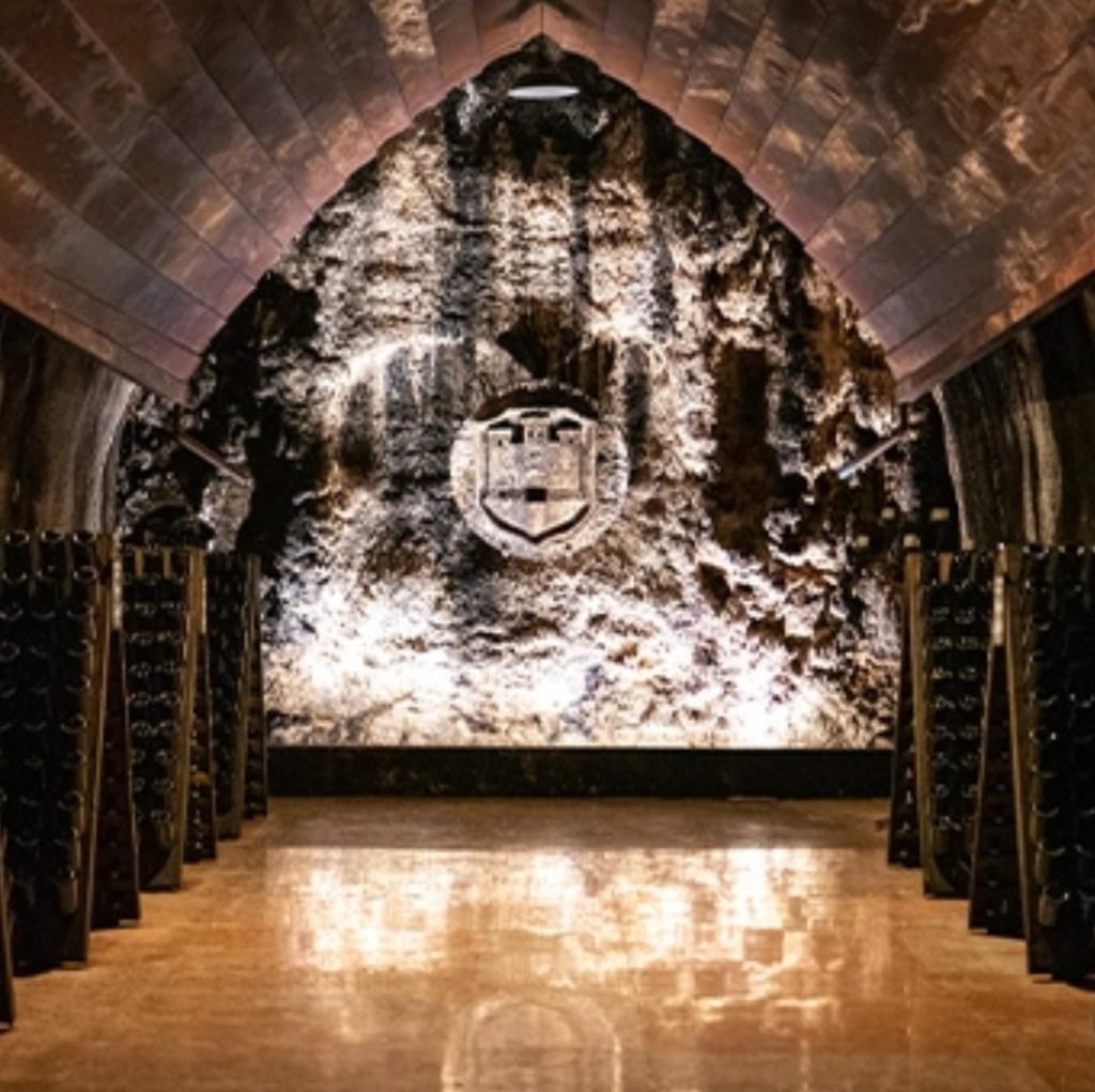 PHOTO 2025 11 17 11 35 32