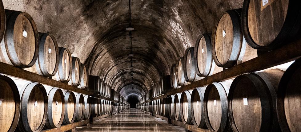 PHOTO 2025 11 17 11 35 33