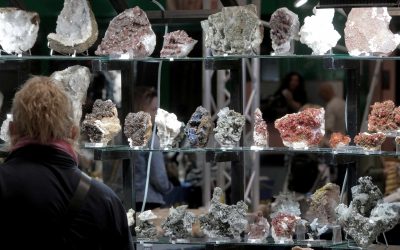 Verona Mineral Show 2025: tre giorni tra minerali, fossili e meraviglie della TerraDal 21 al 23 novembre a Veronafiere mostre, laboratori e convegni per grandi e piccoli