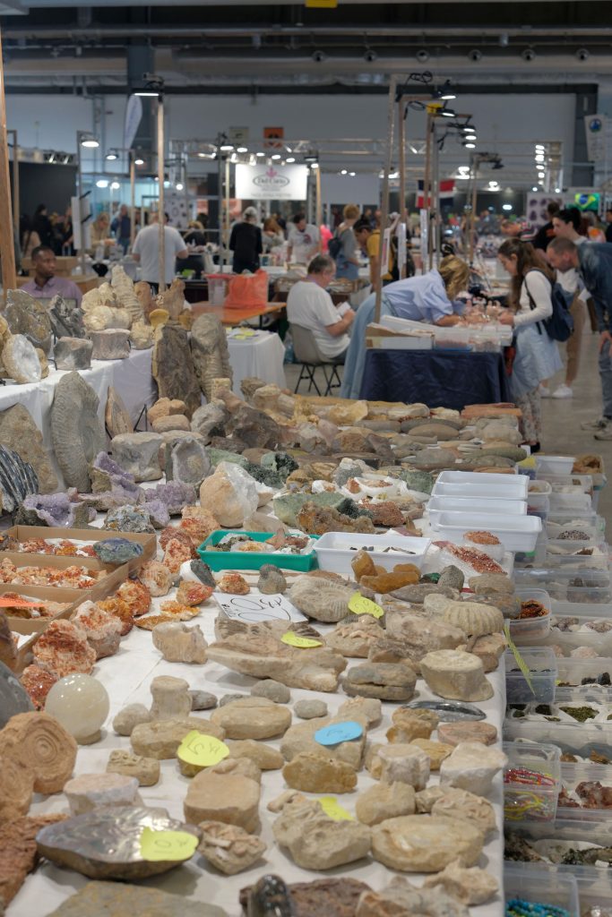 Verona Mineral Show 2025: tre giorni tra minerali, fossili e meraviglie della TerraDal 21 al 23 novembre a Veronafiere mostre, laboratori e convegni per grandi e piccoli 1 VeronaMineralShow 2025 Veronafiere EnneviFoto 034