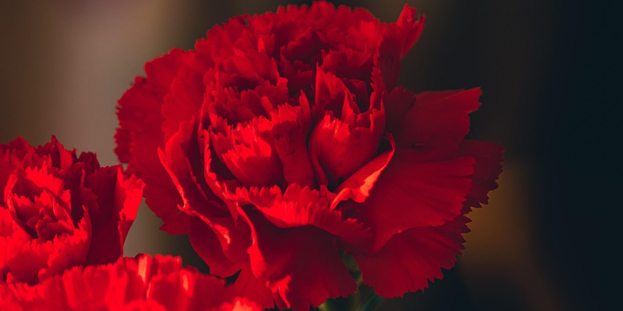 Incidente chiuso. Ma l’affaire Garofani lascia il segno