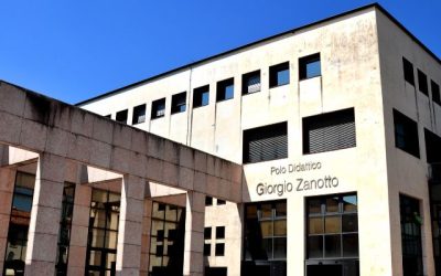 No dell’Università a Greta Thumberg