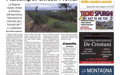 2025 INCASSETTA NOVEMBRE NOGARA