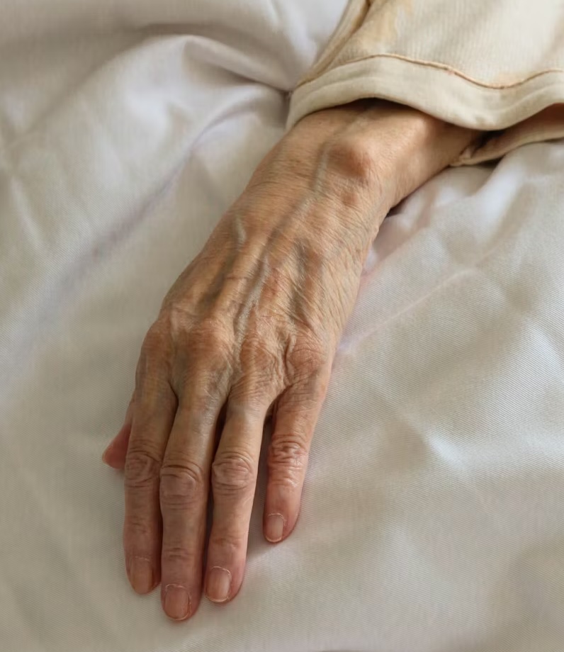 photo 1602152563796 29267eb24c0f copia