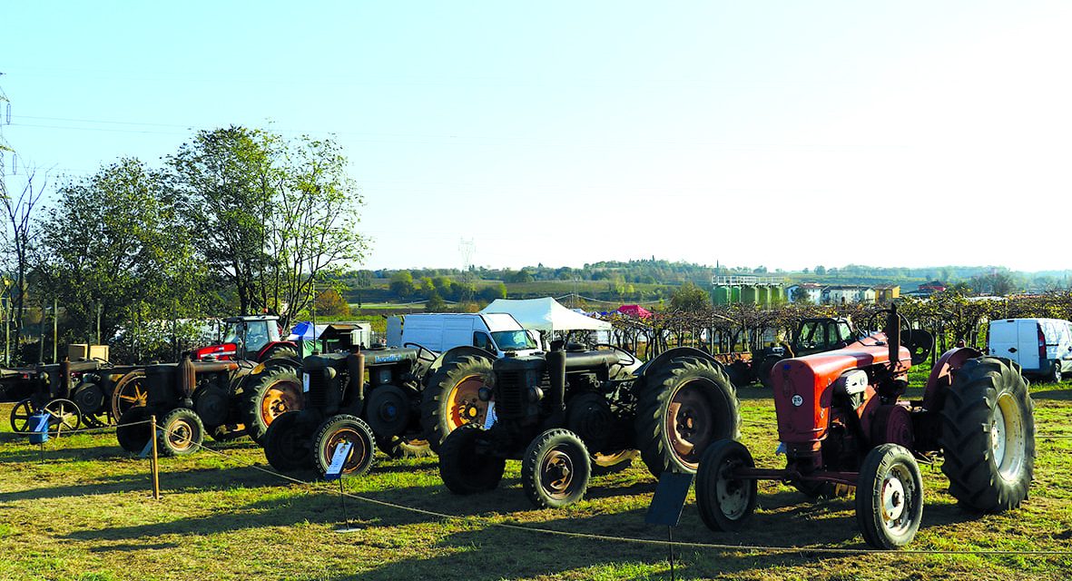 Antica Fiera di Cavalcaselle: tre giorni di tradizione, sapori e comunità sul colle San Lorenzo