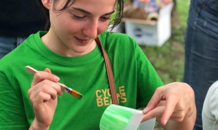 Ovest veronese: nel 2025, più di 5mila giovani impegnati in percorsi di cittadinanza attiva