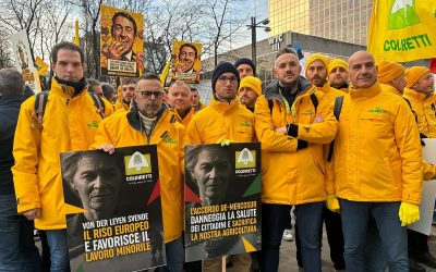 Coldiretti a Strasburgo contro le politiche Ue: “Fermiamo la follia della Von der Leyen e salviamo l’agricoltura europea”