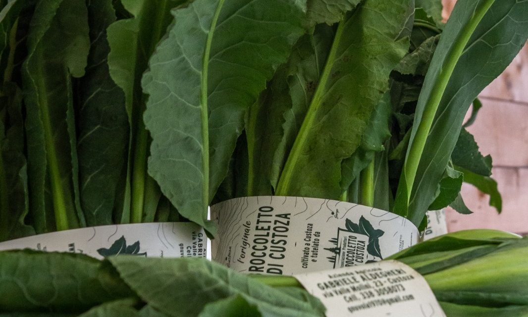 Il Broccoletto di Custoza torna protagonista con la 24ª Rassegna