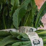 Il Broccoletto di Custoza torna protagonista con la 24ª Rassegna