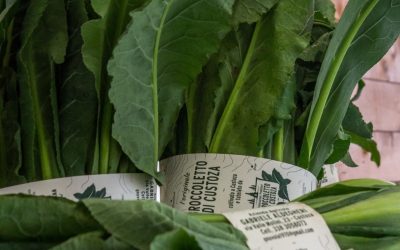 Il Broccoletto di Custoza torna protagonista con la 24ª Rassegna