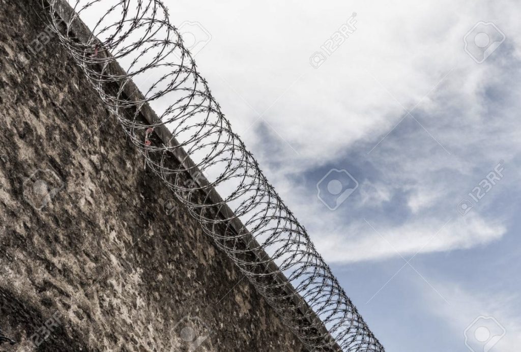 Plastica che rinasce 2 Plastica che rinasce. Vista carcere di Montorio