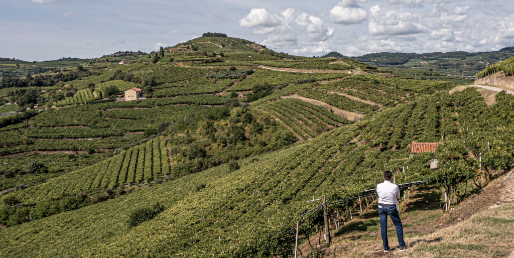 Ca' Rugate nella top 100 dei migliori vignaioli d'Italia 1 Screenshot 2025 12 11 alle 12.25.22