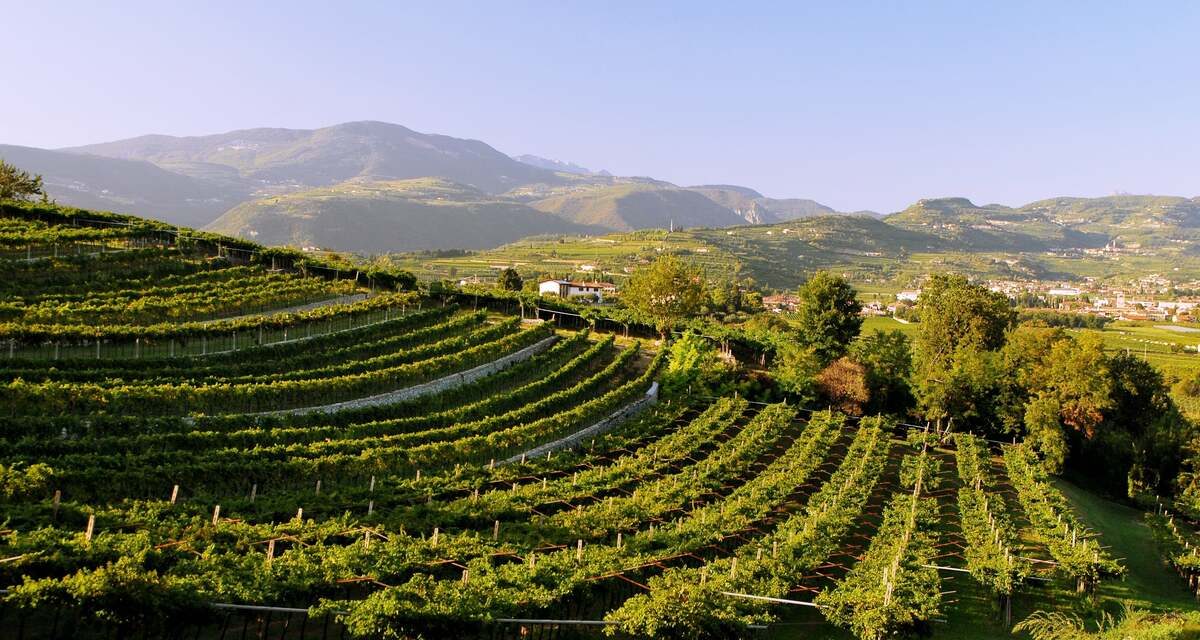 Effetto Unesco nelle colline del Prosecco Superiore