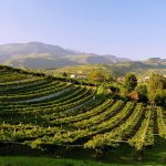Effetto Unesco nelle colline del Prosecco Superiore