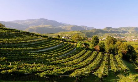 Effetto Unesco nelle colline del Prosecco Superiore