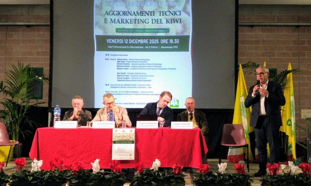Il kiwi tra innovazione e prospettive di mercato