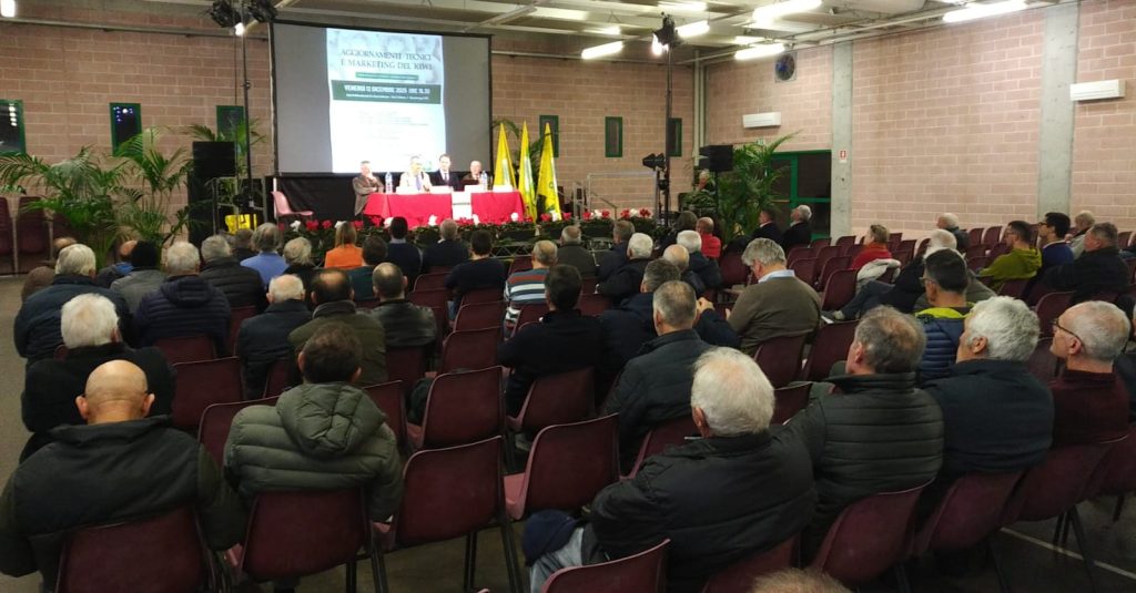 Il kiwi tra innovazione e prospettive di mercato 1 f.2