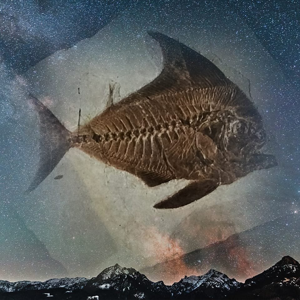 Bolca Patrimonio Unesco: al via la candidatura per il 2027 2 480910951 649442450879418 2941172070635418782 n