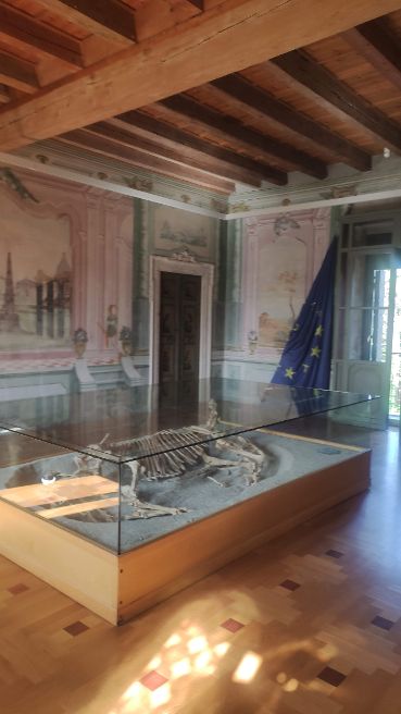 Povegliano non si ferma. Mercatino dell'antiquariato e aperture di Villa Balladoro per la prima volta anche a gennaio. Tedeschi: “ Decisione storica” 1 Cavallo longobardo museo Villa Balladoro