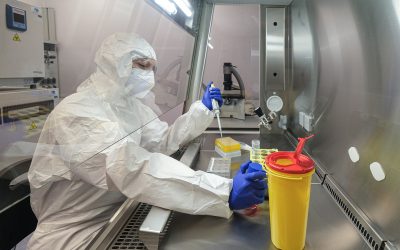 Tagli all’Oms e clima pazzo: l’hummus dei virus tropicali a Verona