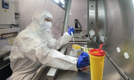 Tagli all’Oms e clima pazzo: l’hummus dei virus tropicali a Verona