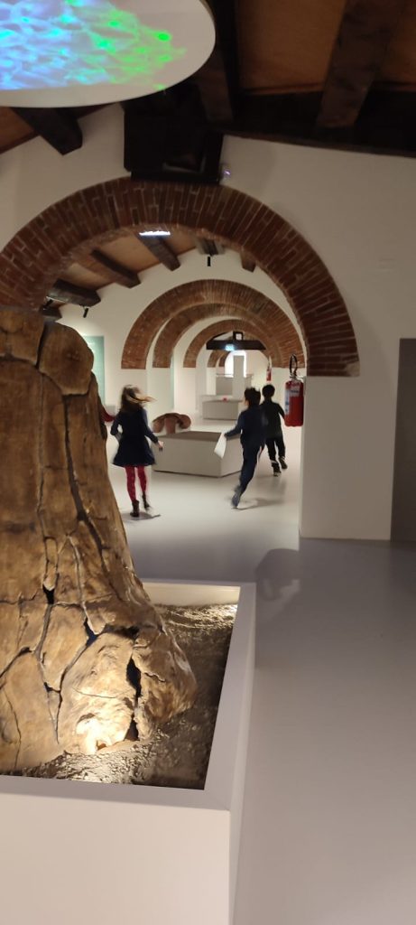 Il Museo Archeologico Nazionale di Verona 3 IMG 20230218 WA0011 1