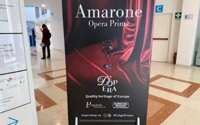 Amarone Opera Prima. Aperta la 22ª edizione