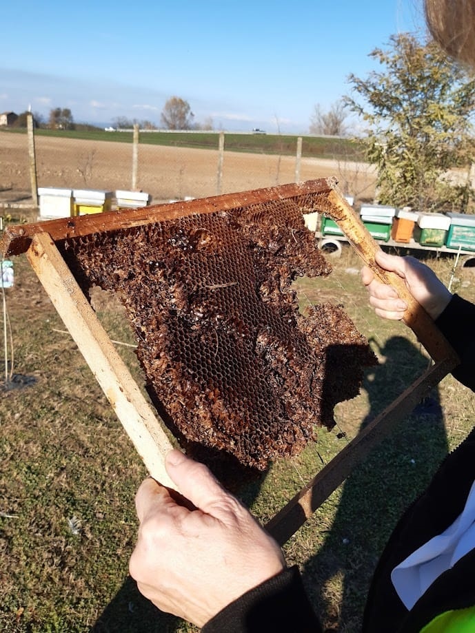 Prevenzione Veterinaria. All’Ulss 9 oltre 800 mila interventi all’anno 2 attivita veterinaria Ulss9 2