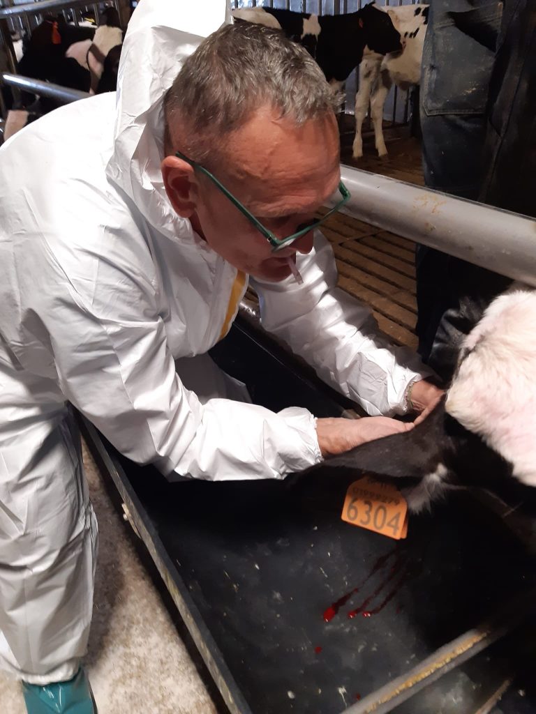 Prevenzione Veterinaria. All’Ulss 9 oltre 800 mila interventi all’anno 3 attivita veterinaria Ulss9 4