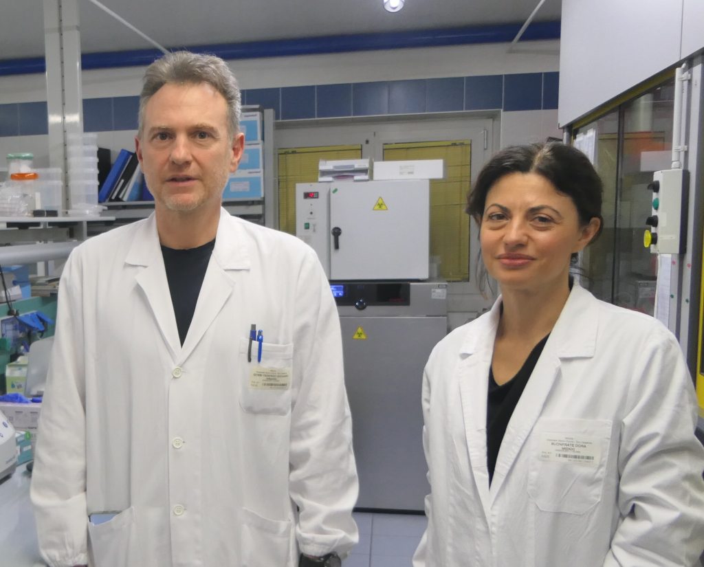 Tagli all'Oms e clima pazzo: l'hummus dei virus tropicali a Verona 1 gobbi bonfrate 02