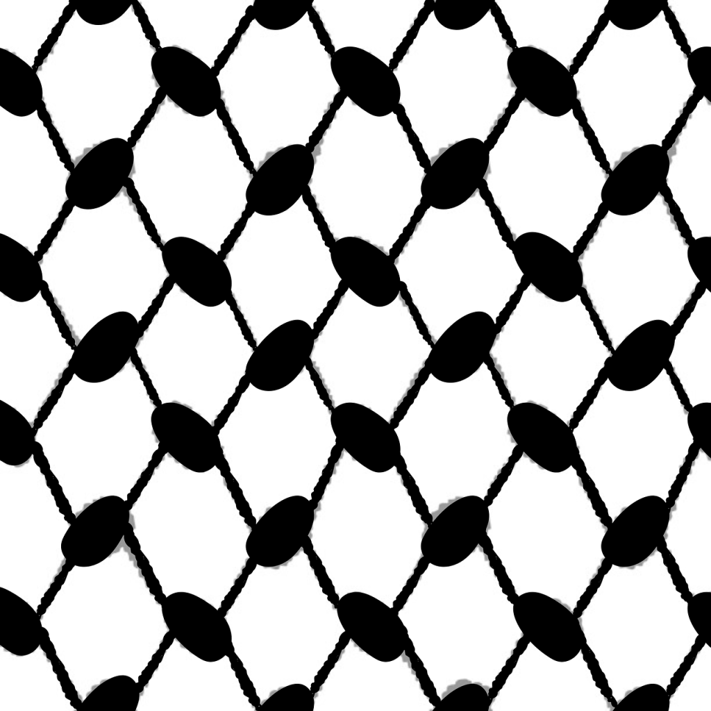 Gli studenti palestinesi accolti all’università di Verona 1 keffieh 7141390 1280