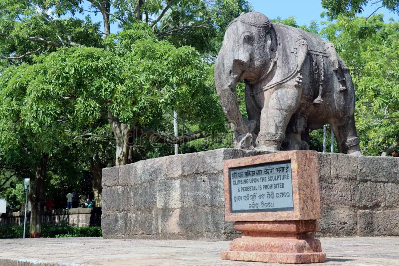 In India cercano un elefante assassino 3 In India si sta dando la caccia a un pachiderma assassino